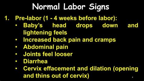 The Normal Labor Ppt