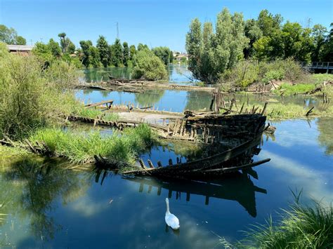 Passerella Dei Burci Parco Regionale Del Fiume Sile