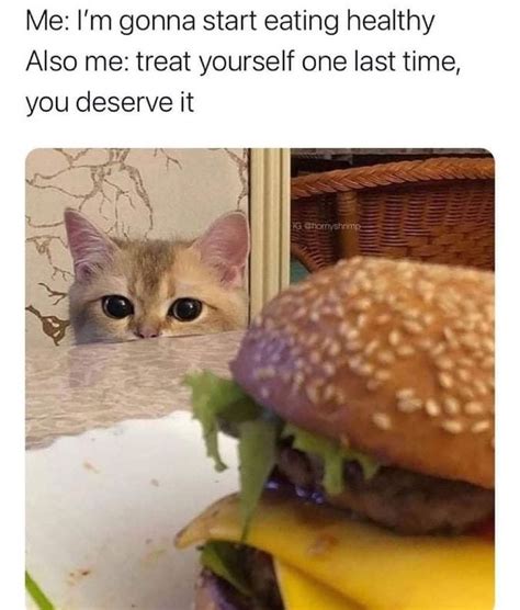 The Best Cheeseburger Memes Memedroid