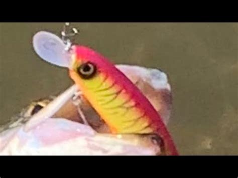 Как разловить воблер Deps Balisong 130. А так же о Тсуёки Драга ...