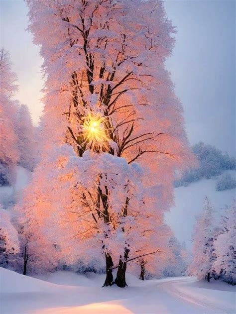 Teresa Ly Tleoni311 Good Morning ️☃️ ️ 27 Led 23 Twitter 美しい風景 雪景