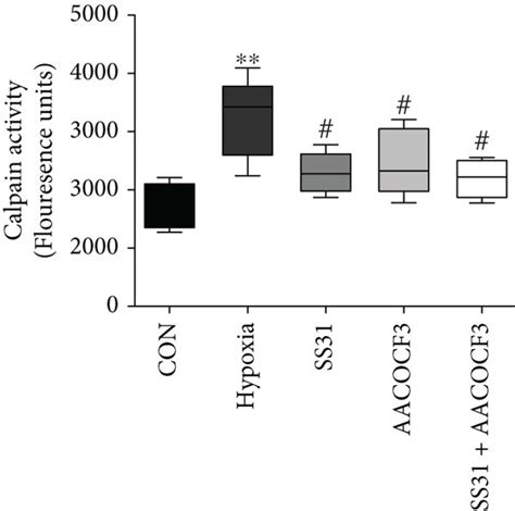 Hypoxia Induced Cpla Activation And Mitochondrial Ros Generation In