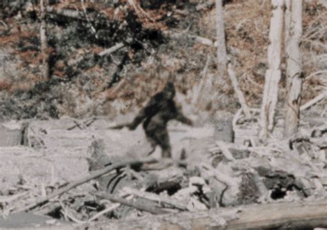 Bigfoot Seen Clearly In Stabilized Patterson Gimlin Film