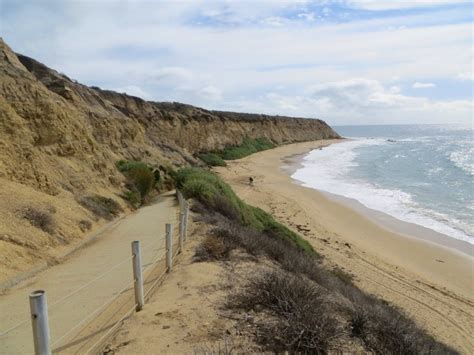 Crystal Cove State Park Reef Point Beach Laguna Beach Ca