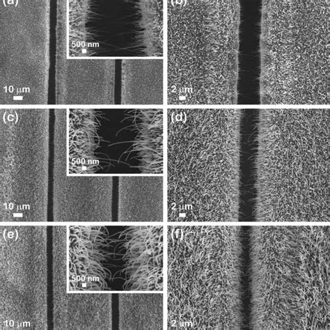 Fesem Images At Different Magnifications Of A B Inset Cuo Mie C D