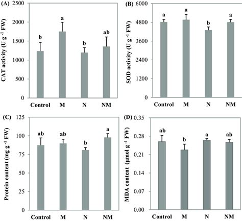 The Catalase CAT Activity A Superoxide Dismutase SOD Activity