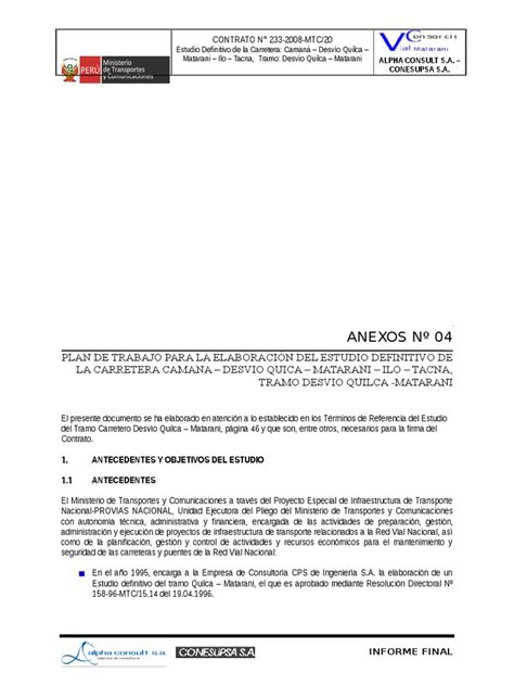 PDF 03 Anexos Nº 04 plan de Trabajo DOKUMEN TIPS