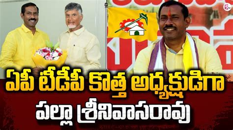 Chandrababu Appointed Gajuwaka Mla Palla Srinivasa Rao As Ap Tdp