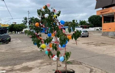 Revista Fundamentos Colocan rama navideña en socavón en Veracruz