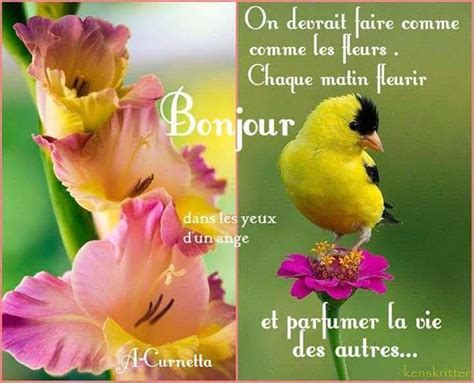 Pingl Par Ginette Feito Sur Animaux Adorables En Fleurs Bonne