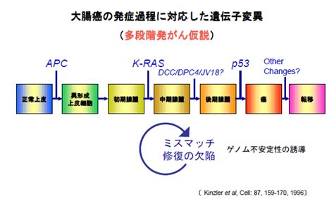 癌 メカニズム Hello Doctor