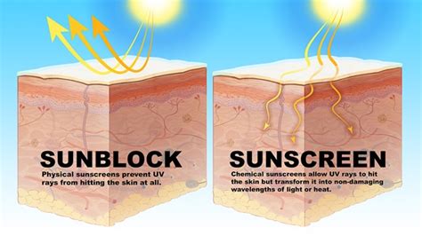 Sunscreen Vs Sunblock Which One Is Right For You Faculty Of Medicine