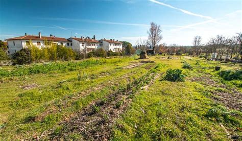 Orto A Marzo Semine E Trapianti In Semenzaio E In Campo