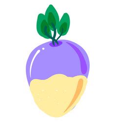 Cute Rutabaga On White Background Royalty Free Vector Image