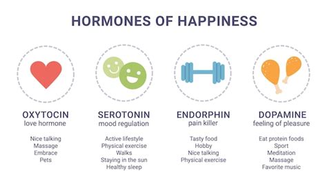 Premium Vector Scheme Of Happiness Hormones Icons Of Oxytocin