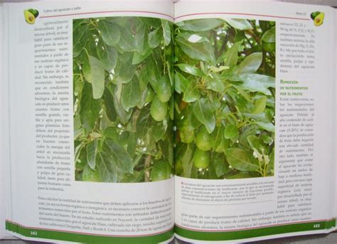 Libro Cultivo Del Aguacate O Palta U S 58 00 En Mercado Libre