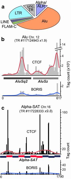 Repeats Preferentially Bound By Ctcf Are Comprised Mostly Of Download Scientific Diagram