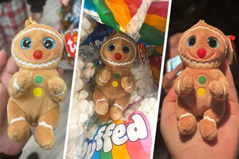 Cookie The Gingerbread Plushie Steals People S Hearts Online