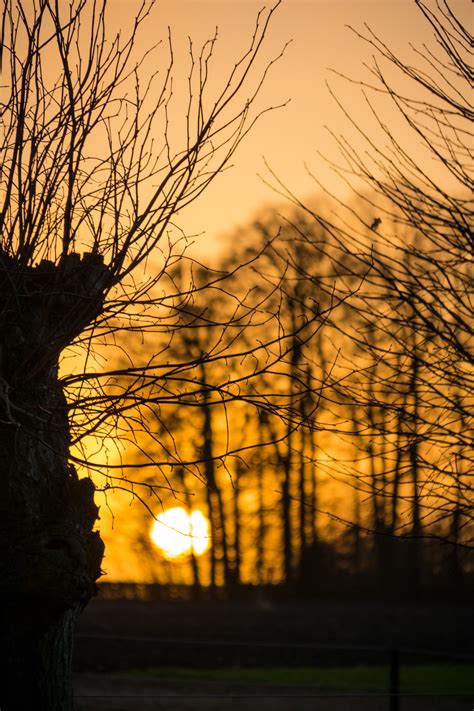 Wallpaper Sunlight Landscape Sunset Nature Reflection Sky