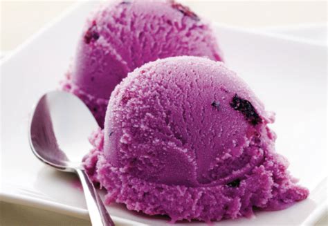 Homemade Blackcurrant Ice Cream – ViBERi