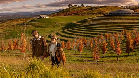 National Arboretum Canberra | Attractions in Canberra