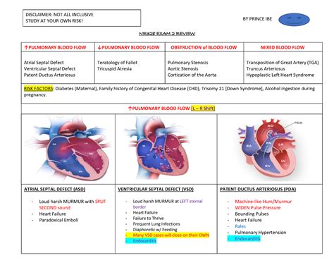 Exam 2 (Cardiac Review) - DISCLAIMER: THIS REVIEW IS NOT ALL INCLUSIVE BY PRINCE IBE STUDY AT ...