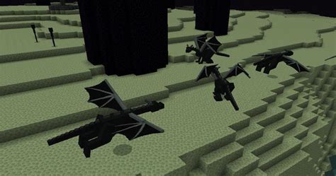 Dragon Mounts Addon Mods Minecraft Bedrock