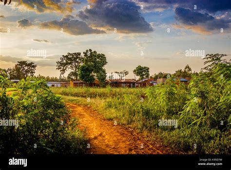 A Standard Village In Uganda Stock Photo Alamy