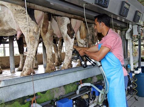 Am Rica Debe Buscar Un Sector L Cteo M S Verde Y Productivo Tras