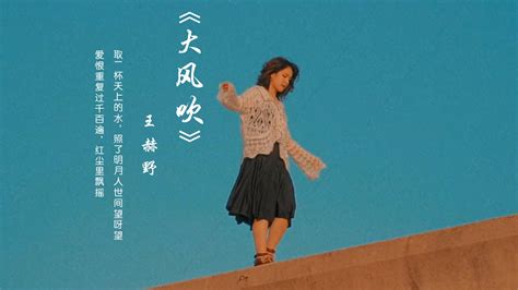 买辣椒也用券 《起风了》mv 旧版听着舒服！中日双语左右声道版 Bilibilib站无水印视频解析——yiuios易柚斯