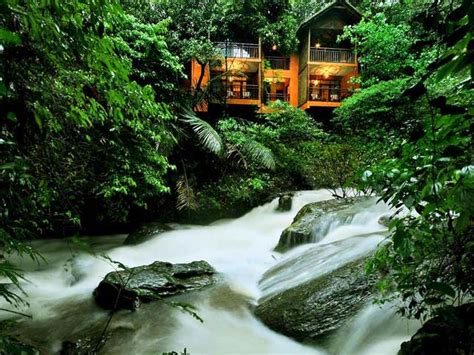 Top 5 Tree House Resorts in Kerala - Kerala Backwaters Blog