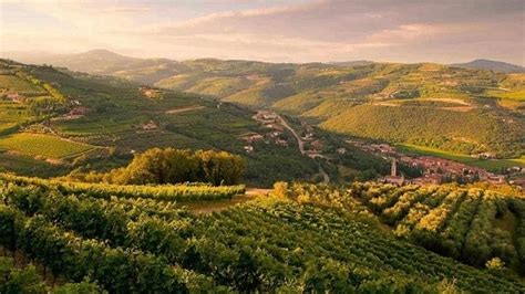 Le Colline Di Negrar Iscritte Al Registro Nazionale Dei Paesaggi Rurali