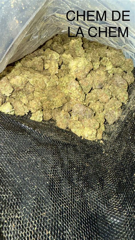 White Truffle Delivery - Top-Quality Cannabis | Select Co-Op DC