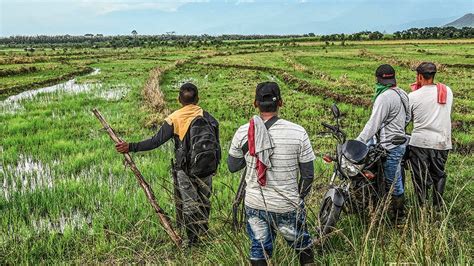 Invasiones De Tierras La Grave Amenaza A La Propiedad Privada Que Se