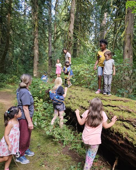 Wild Grief | Grieving Together in Nature