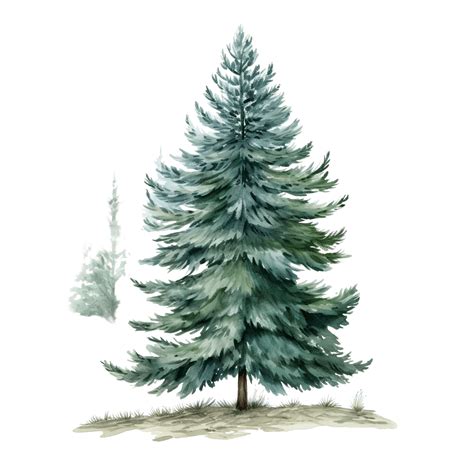 winter pine trees drawing