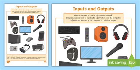 Computer Inputs And Outputs Worksheet Teacher Made