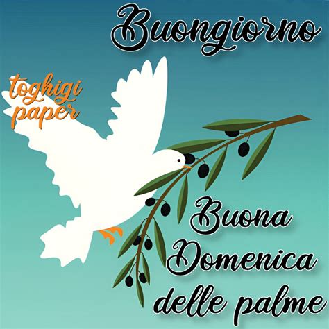 Buona Domenica Delle Palme ToghigiPaper