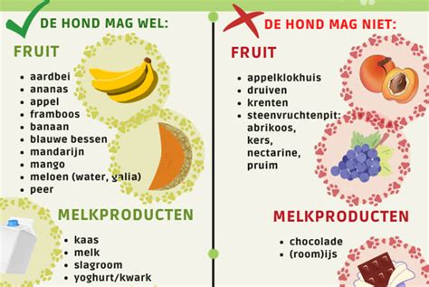 Welk Eten Mag Ik Mijn Hond Geven Infographic Doderer Hondenschool