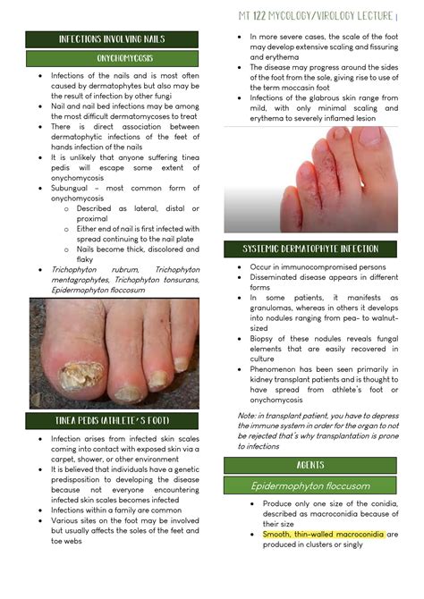 SOLUTION Cutaneous Subcutaneous Systemic Mycoses Studypool