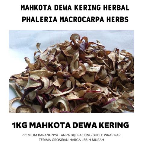 Mahkota Dewa Kering Kg Obat Herbal Alami Teh Mahkota Dewa Seduhan