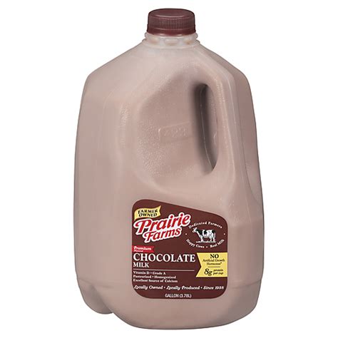 Chocolate Milk Gallon