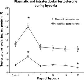 Hypoxia Effect On Testosterone Plasmatic And Intratesticular