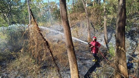 Meningkat Ada Kejadian Kebakaran Lahan Di Karangasem Pada September