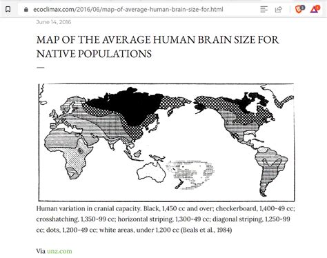 Proper Newborn Brain Development