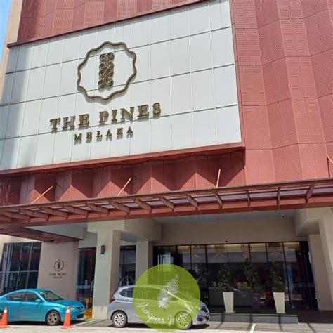 introduction   pines melaka junipersjournal