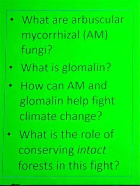 Solved What Are Arbuscular Mycorrhizal Am Fungi Chegg