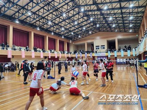 현직체육쌤이 만든 빅발리볼축제밀양교육장배 전국학교스포츠클럽대회 뜨거운 열기 네이트 스포츠