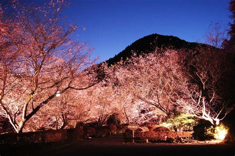 城峯公園 神川町観光協会｜花と自然と歴史の町へようこそ