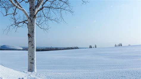 10℃はどれくらい寒い？北海道各地、冬一番の寒い日と自然現象 Pikule（ピクル）北海道ローカル情報webマガジン Part 2